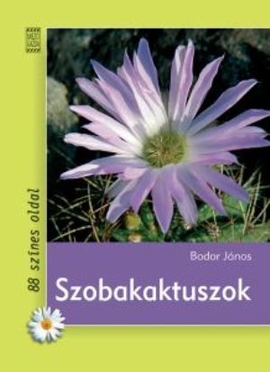 Szobakaktuszok
