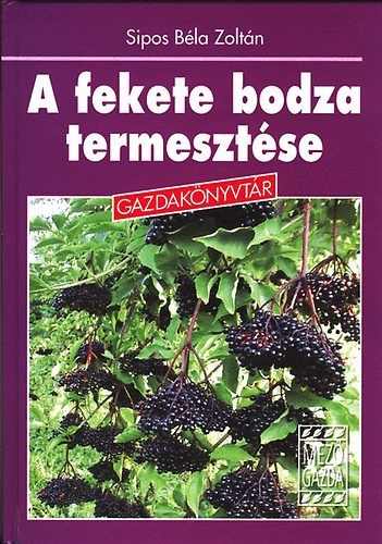 A fekete bodza termesztése