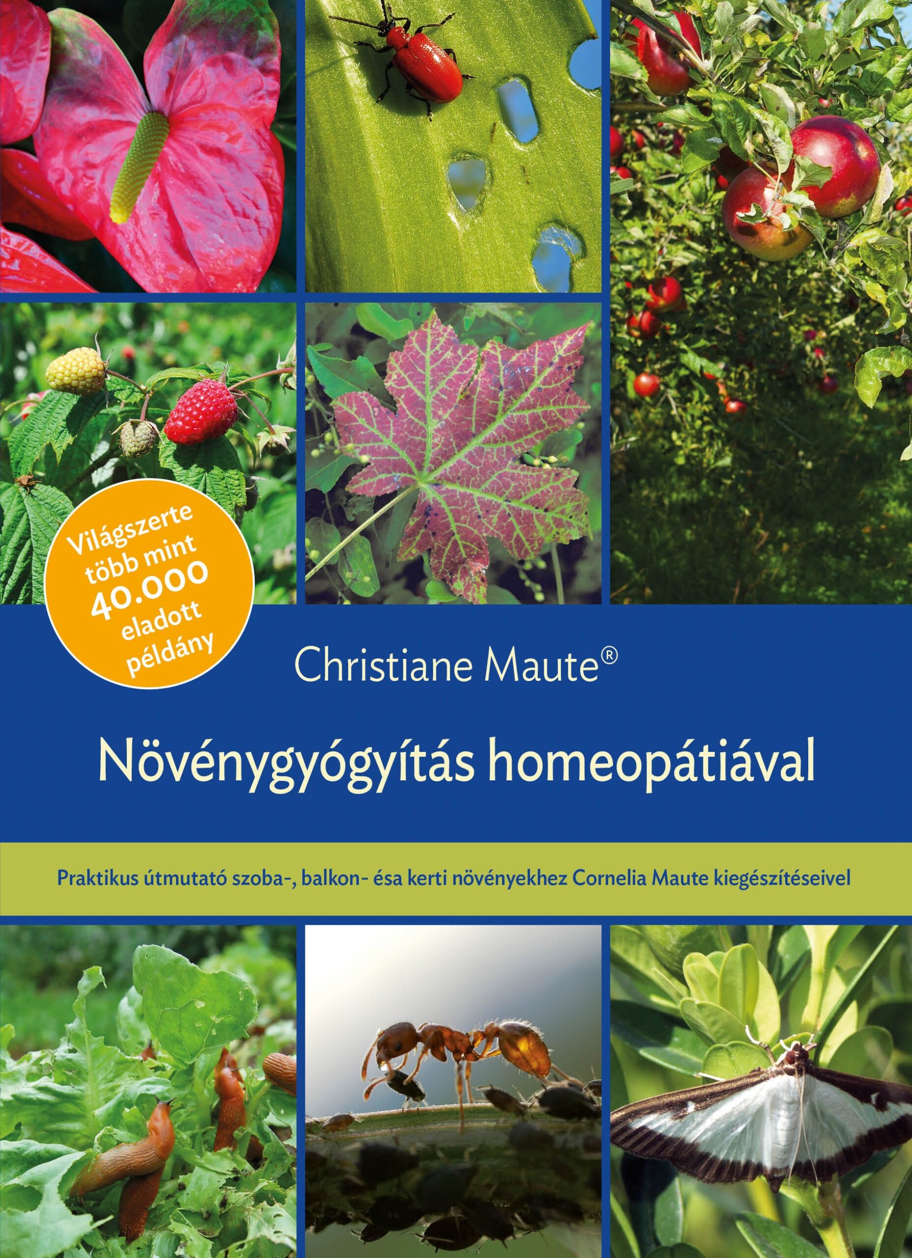 Növénygyógyítás homeopátiával