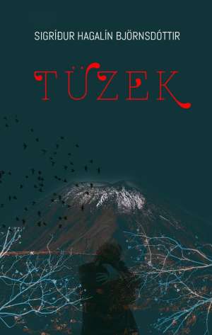 Tüzek e-könyv