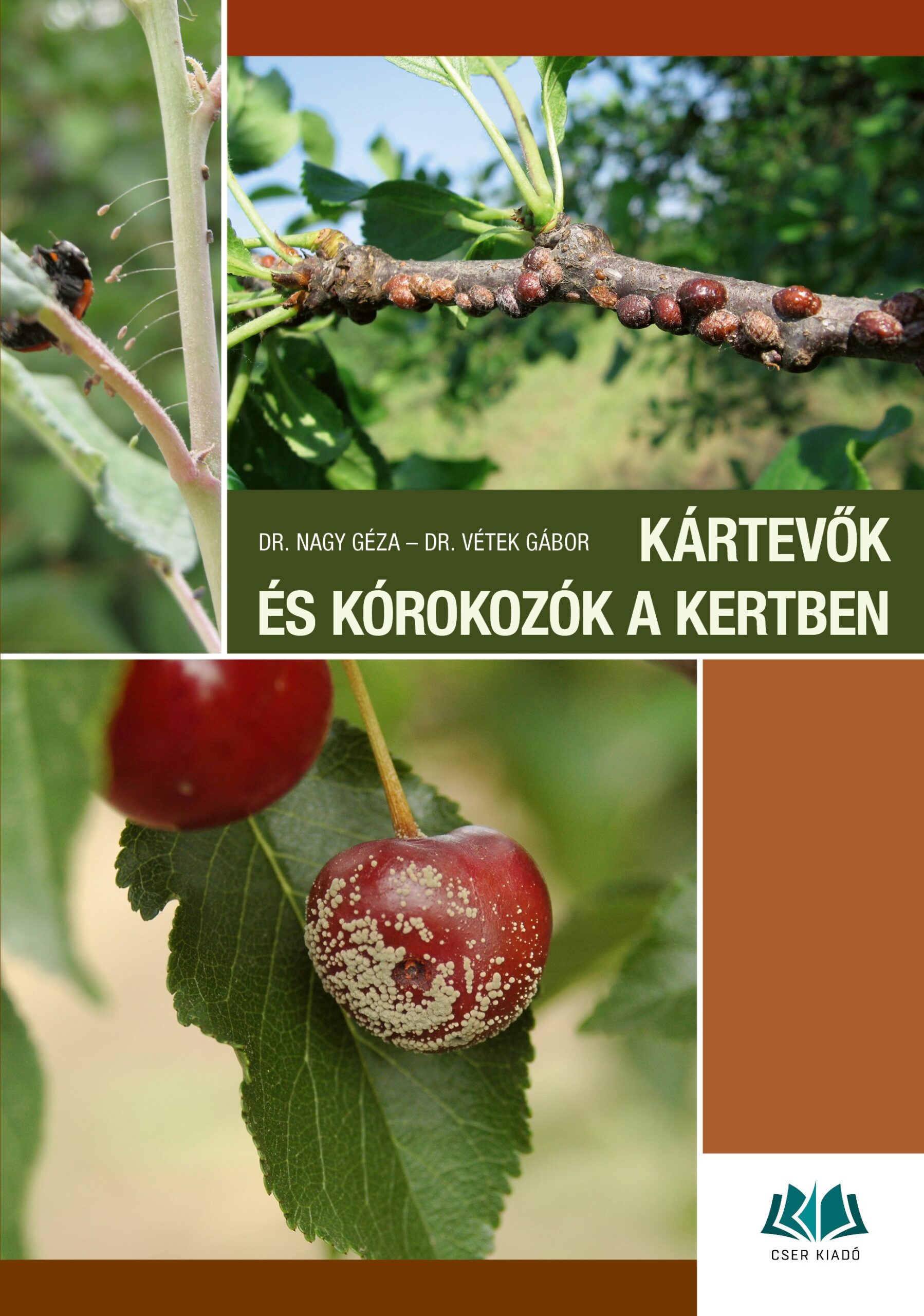Kártevők és kórokozók a kertben - 4., javított, átdolgozott kiadás